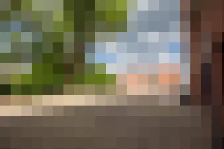 Sphinxlunet 48 D Maastricht thumbnail 21