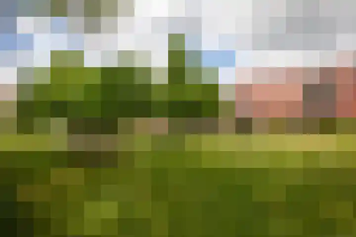 Sphinxlunet 48 D Maastricht thumbnail 23