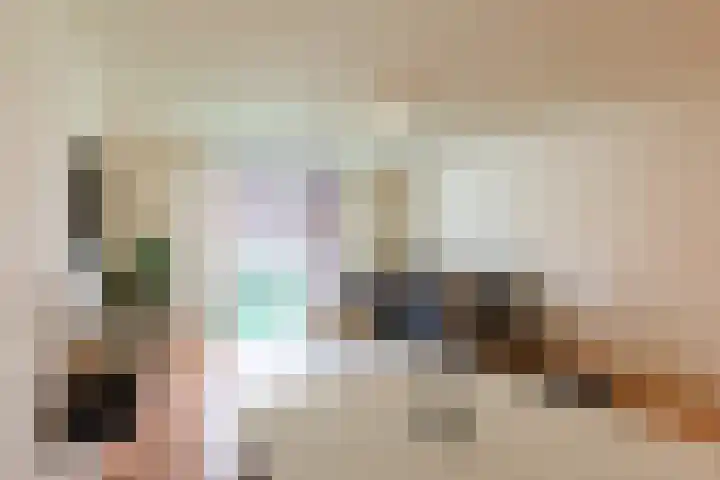 Sphinxlunet 48 D Maastricht thumbnail 9