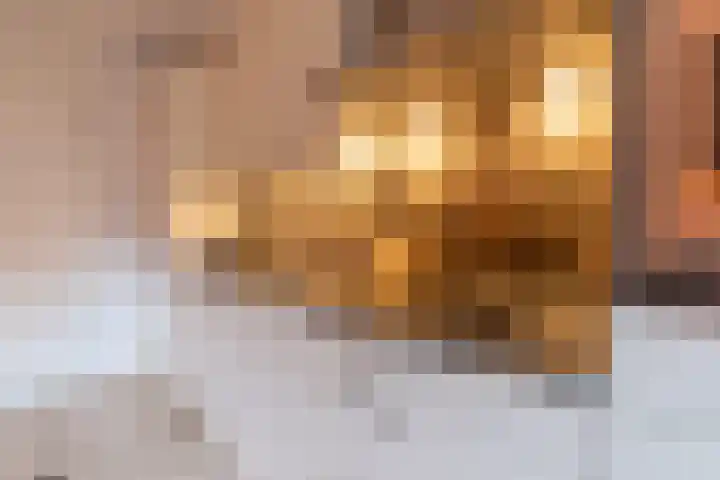 Sphinxlunet 83 E Maastricht thumbnail 10