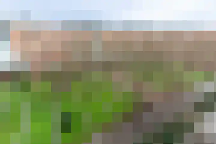 Sphinxlunet 83 E Maastricht thumbnail 13