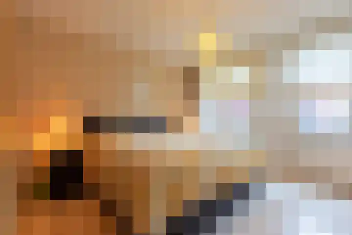 Sphinxlunet 83 E Maastricht thumbnail 15