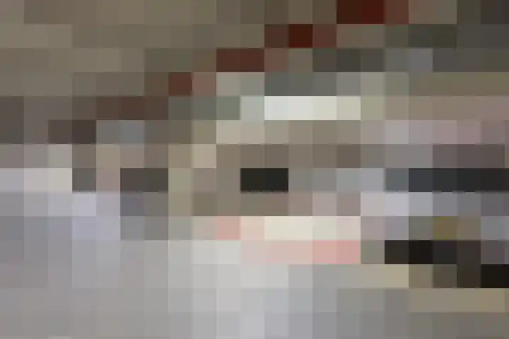 Sphinxlunet 83 E Maastricht thumbnail 20