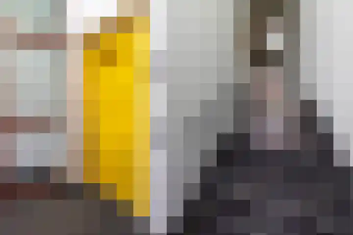 Sphinxlunet 83 E Maastricht thumbnail 21
