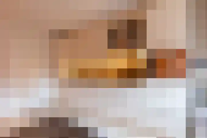 Sphinxlunet 83 E Maastricht thumbnail 9