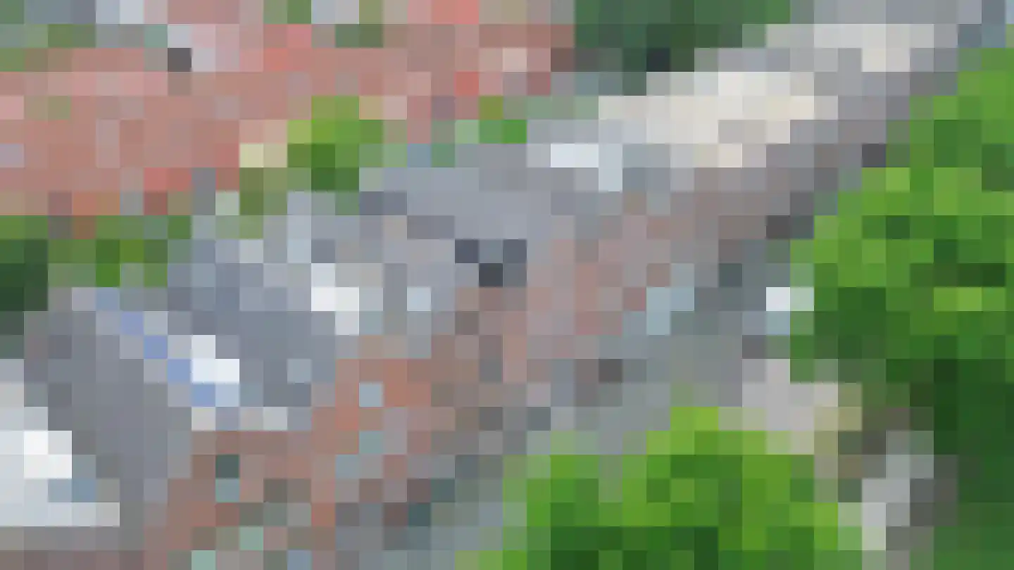 Spiegellaan 12 Heiloo thumbnail 17