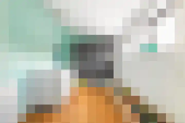Spiegellaan 12 Heiloo thumbnail 38