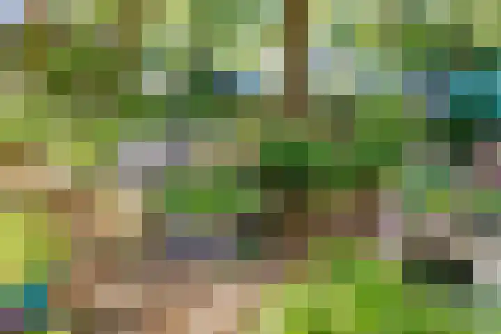 Spiegellaan 12 Heiloo thumbnail 49