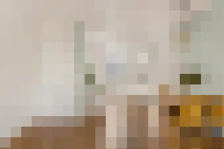Spiegellaan 95 Heiloo thumbnail 15