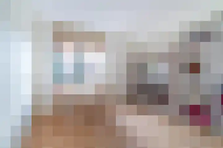 Spiegelmakerstraat 3 Delfgauw thumbnail 30
