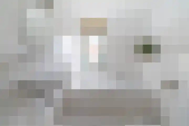 Spiegelmakerstraat 3 Delfgauw thumbnail 34
