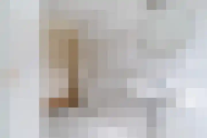 Spiegelmakerstraat 3 Delfgauw thumbnail 36