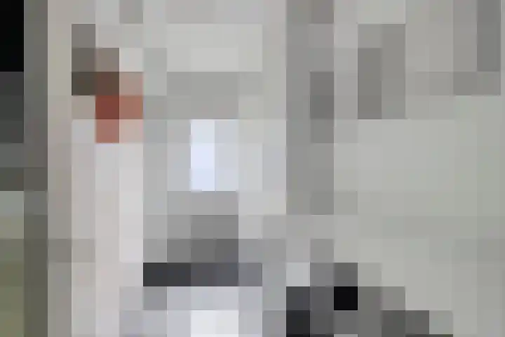 Spiegelstraat 18 Dronten thumbnail 21
