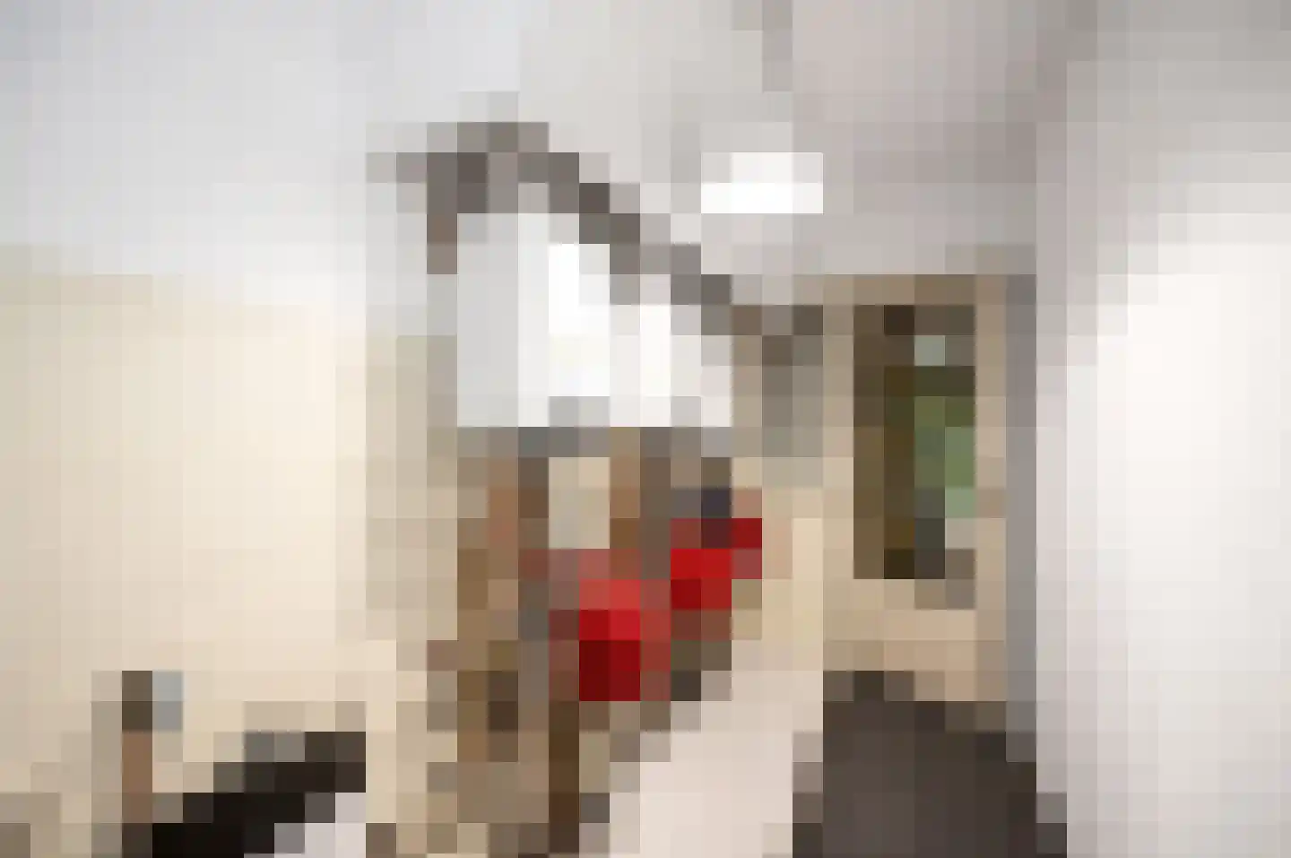 Spiegelstraat 3 Bussum thumbnail 13