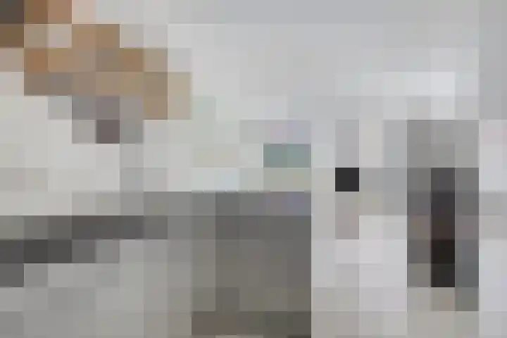 Spiegeltuin 12 's-Hertogenbosch thumbnail 10