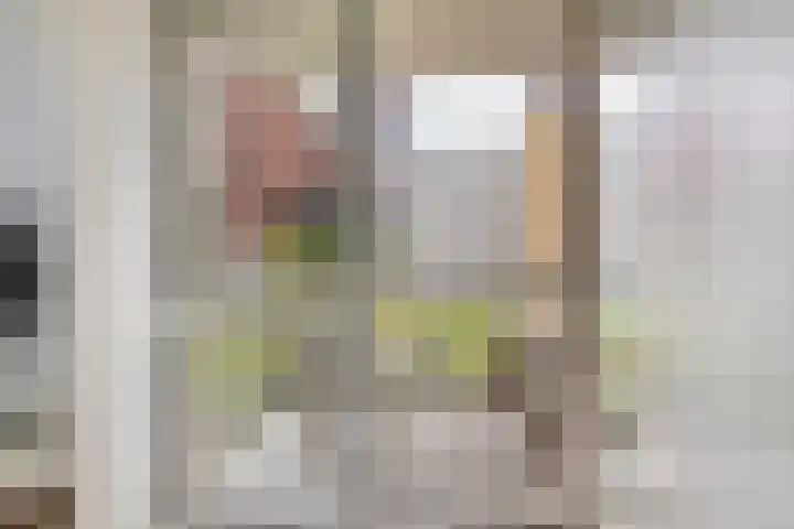 Spiegeltuin 12 's-Hertogenbosch thumbnail 13