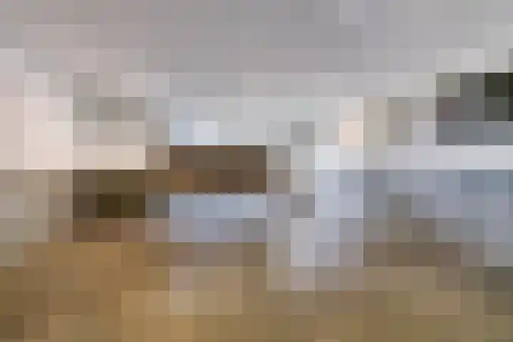 Spiegeltuin 12 's-Hertogenbosch thumbnail 15