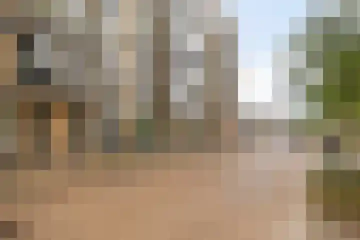 Spiegeltuin 12 's-Hertogenbosch thumbnail 16