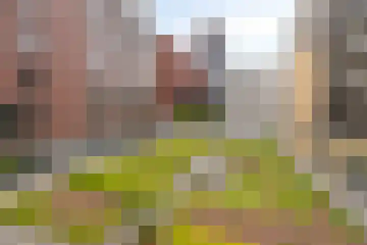 Spiegeltuin 12 's-Hertogenbosch thumbnail 18