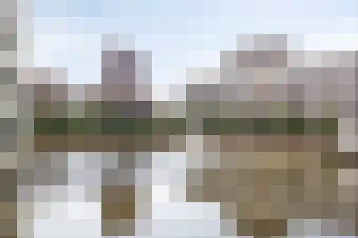Spiegeltuin 12 's-Hertogenbosch thumbnail 22