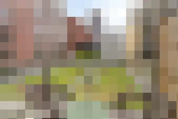 Spiegeltuin 12 's-Hertogenbosch thumbnail 4