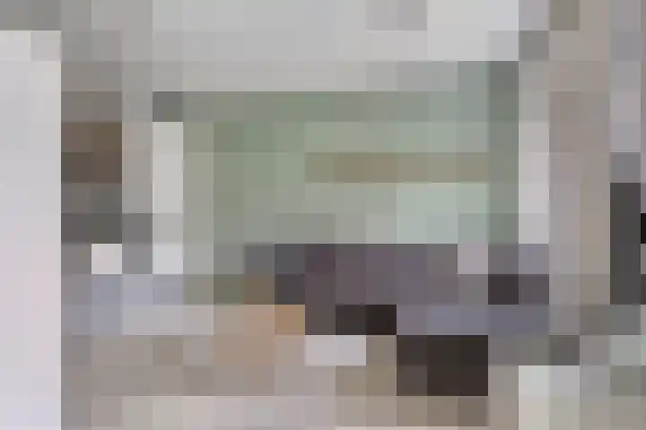 Spiegeltuin 12 's-Hertogenbosch thumbnail 5