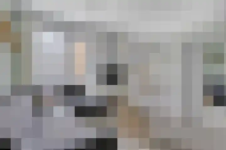 Spiegeltuin 12 's-Hertogenbosch thumbnail 6