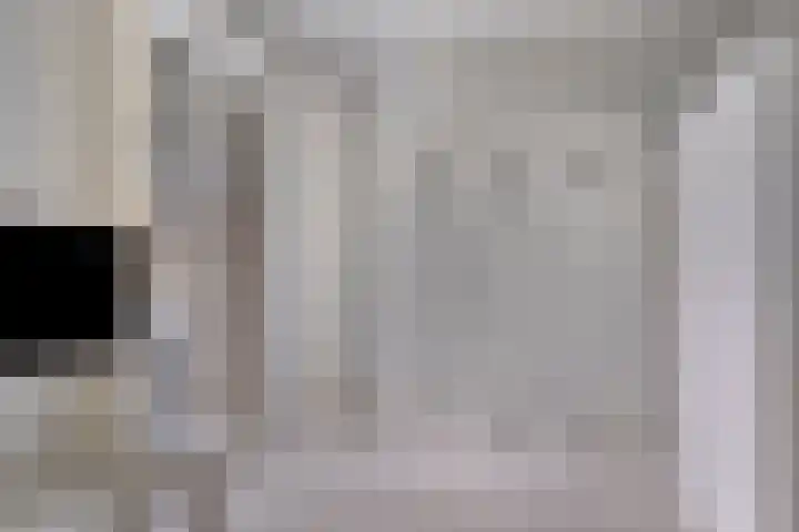 Spiegeltuin 12 's-Hertogenbosch thumbnail 7