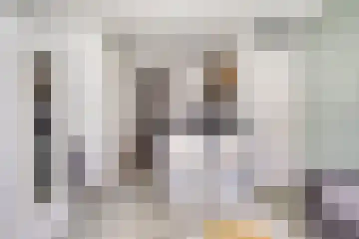 Spiegeltuin 12 's-Hertogenbosch thumbnail 8