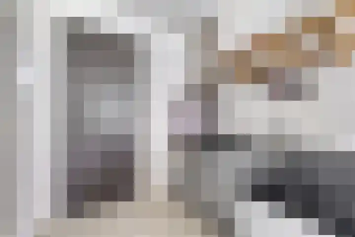 Spiegeltuin 12 's-Hertogenbosch thumbnail 9