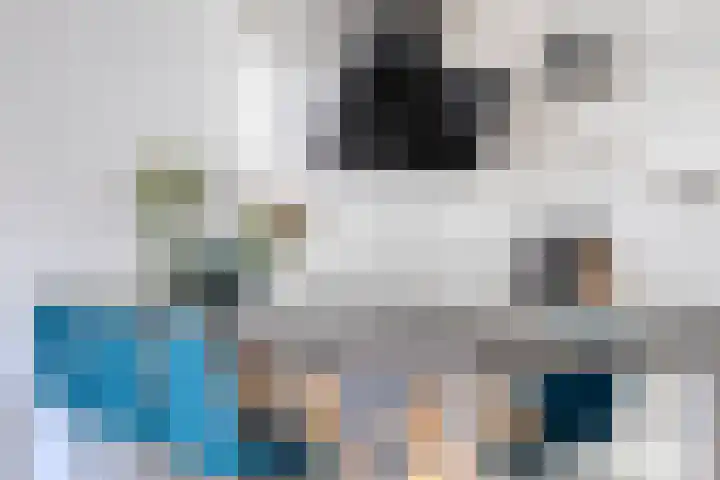 Spiegeltuin 6 's-Hertogenbosch thumbnail 14