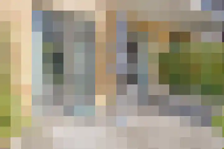 Spiegeltuin 6 's-Hertogenbosch thumbnail 31