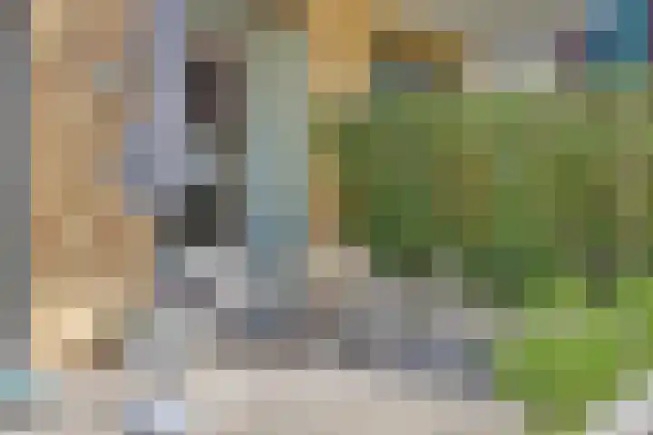 Spiegeltuin 6 's-Hertogenbosch thumbnail 32
