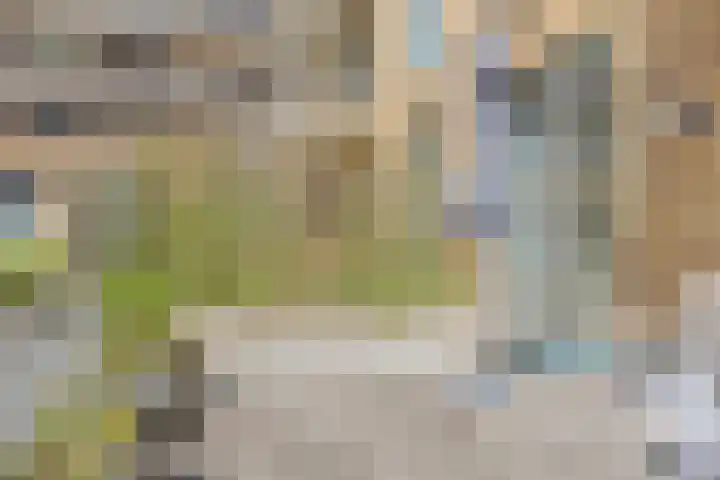 Spiegeltuin 6 's-Hertogenbosch thumbnail 33