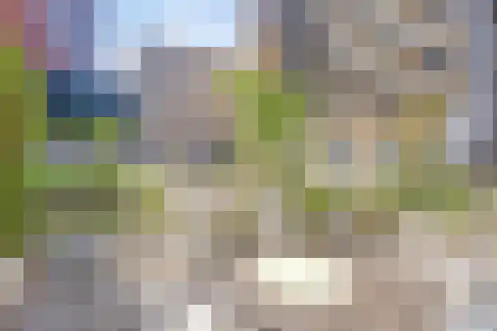 Spiegeltuin 6 's-Hertogenbosch thumbnail 34