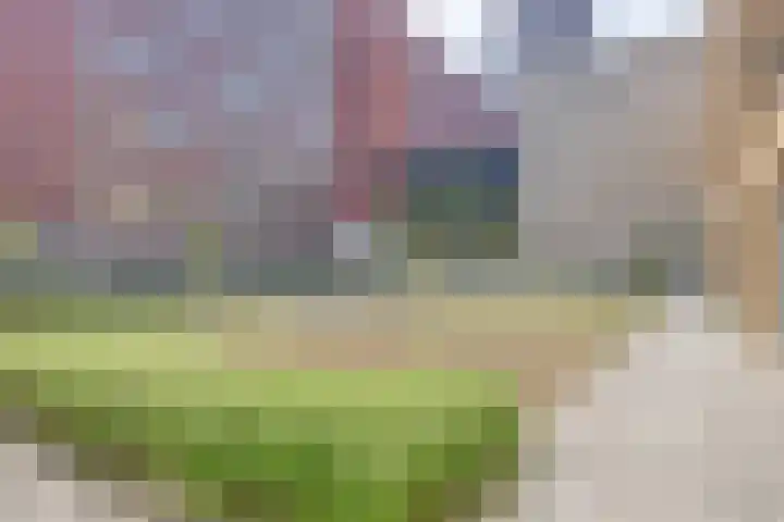 Spiegeltuin 6 's-Hertogenbosch thumbnail 36