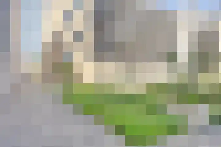 Spiegeltuin 6 's-Hertogenbosch thumbnail 38