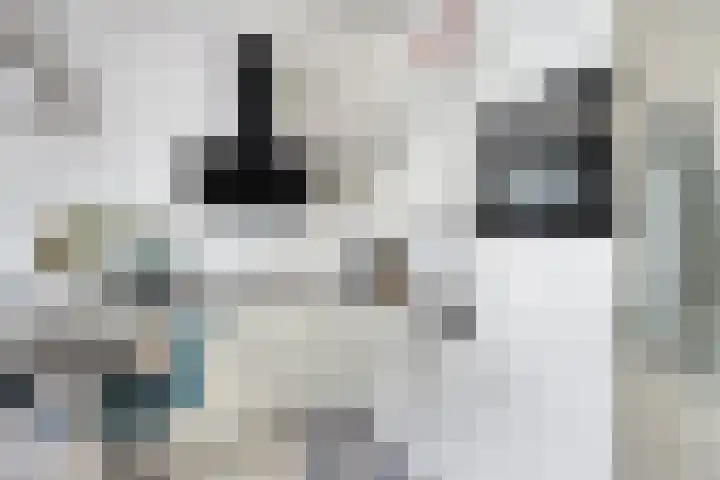 Spiegeltuin 6 's-Hertogenbosch thumbnail 4