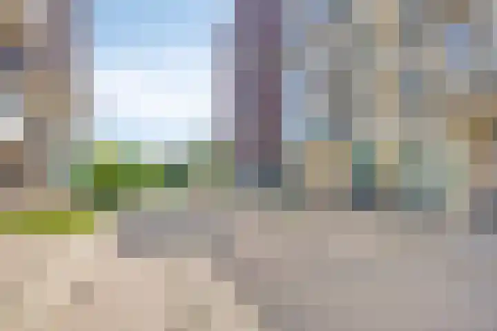 Spiegeltuin 6 's-Hertogenbosch thumbnail 43