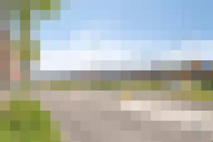 Spiegeltuin 6 's-Hertogenbosch thumbnail 45