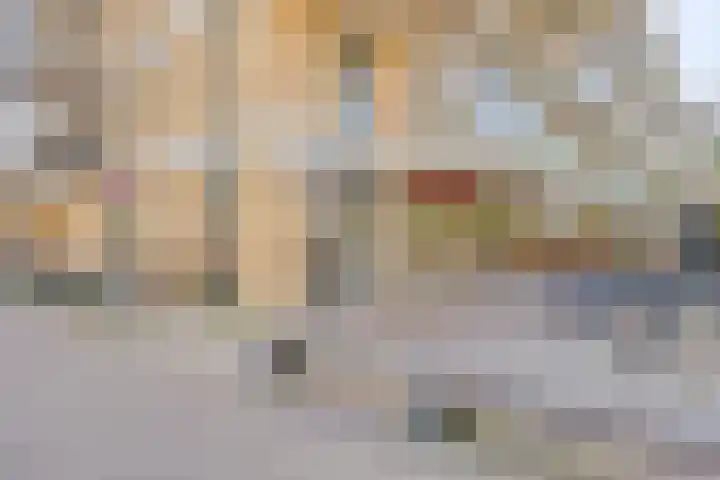 Spiegeltuin 6 's-Hertogenbosch thumbnail 47