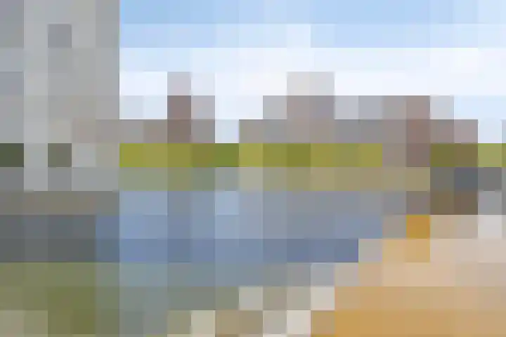 Spiegeltuin 6 's-Hertogenbosch thumbnail 50