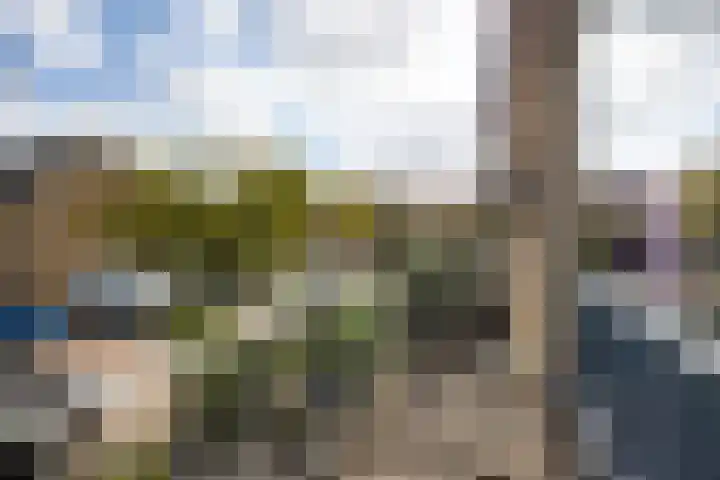 Spiegheldreef 19 Leiderdorp thumbnail 17