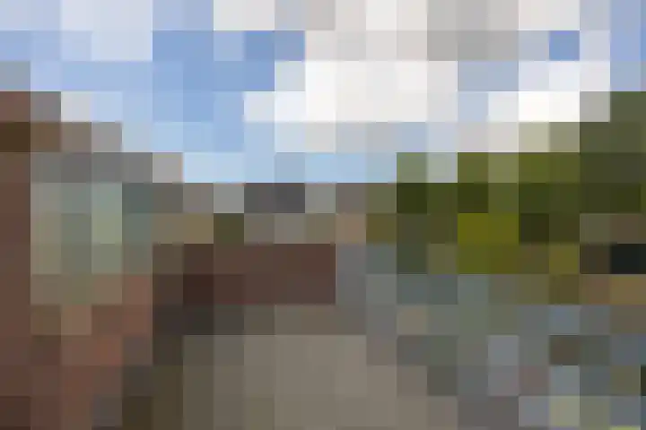 Spiegheldreef 19 Leiderdorp thumbnail 18