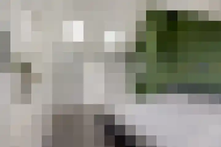Spiegheldreef 19 Leiderdorp thumbnail 20