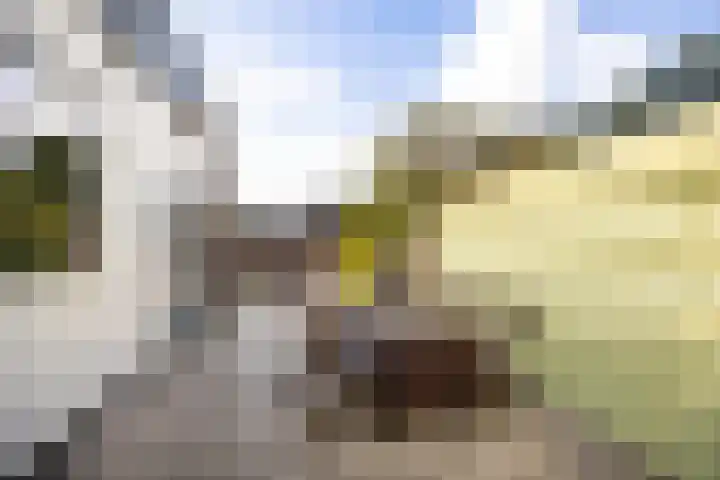Spiegheldreef 19 Leiderdorp thumbnail 21