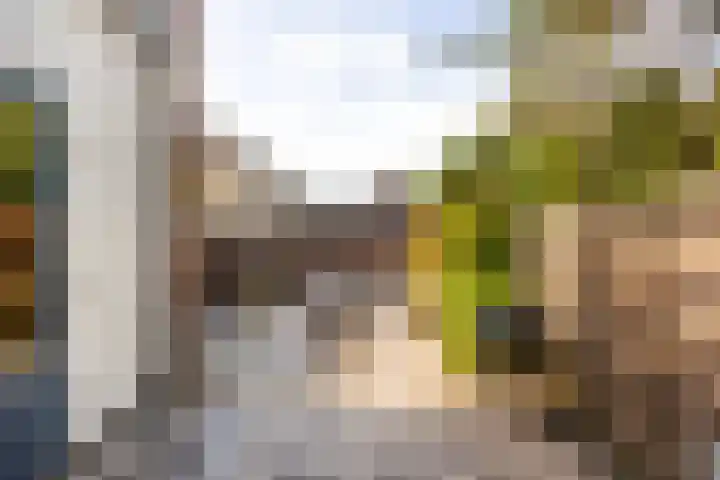 Spiegheldreef 19 Leiderdorp thumbnail 22