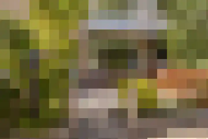 Spiegheldreef 19 Leiderdorp thumbnail 28