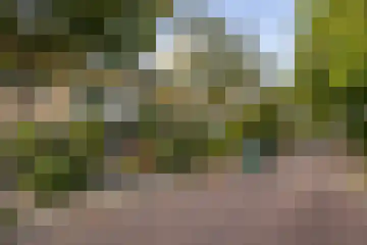 Spiegheldreef 19 Leiderdorp thumbnail 29