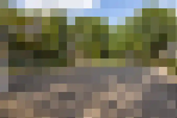 Spiegheldreef 19 Leiderdorp thumbnail 30